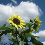شقة Garden & Hill Limburg