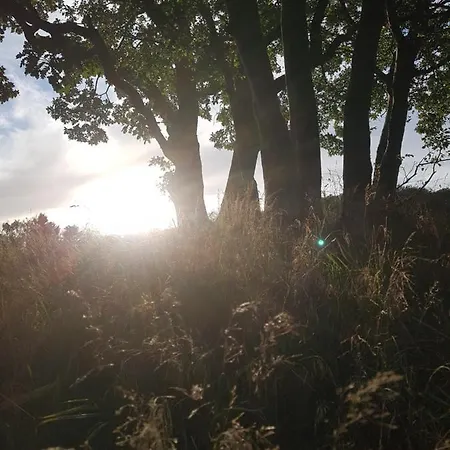 Garden & Hill Limburg Simmerath