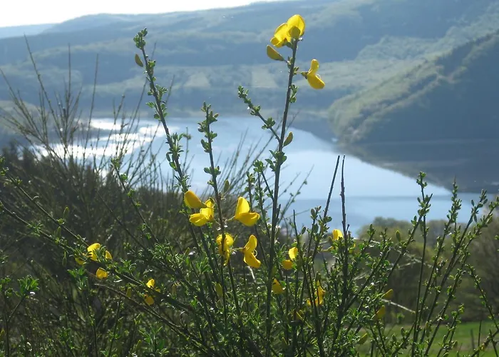 Lägenhet Garden & Hill Limburg