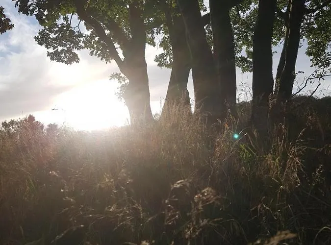 Garden & Hill Limburg Simmerath