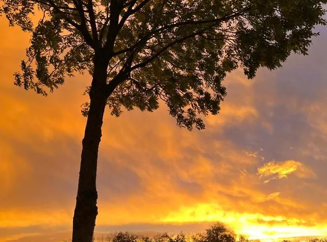 Garden & Hill Limburg Lägenhet *